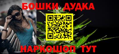 шишки Новокубанск