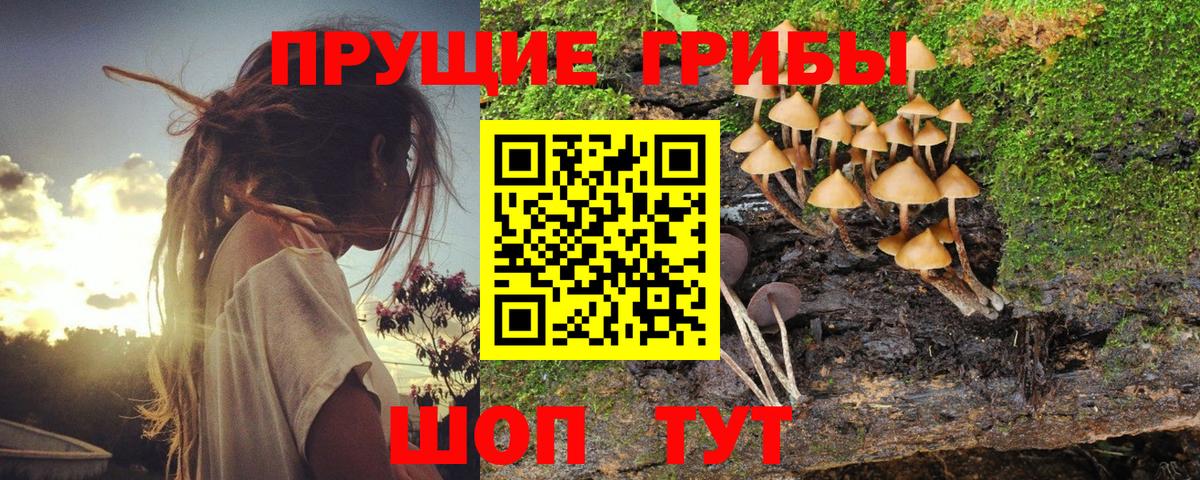 Галлюциногенные грибы мухоморы Печора