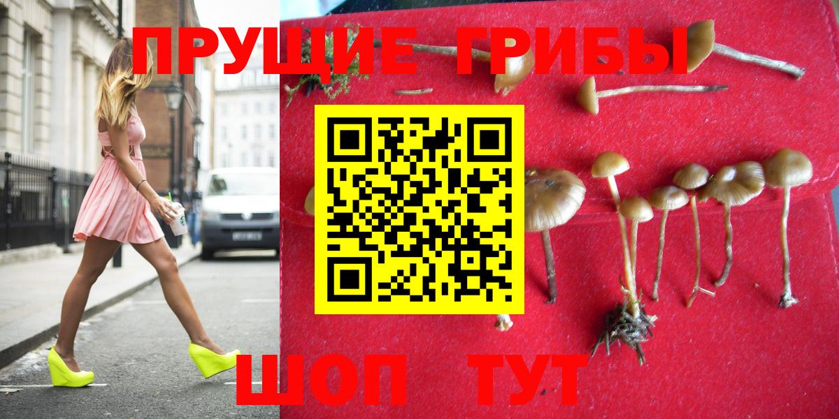 Галлюциногенные грибы мухоморы  Галлюциногенные грибы мицелий  Вход с VPN  Печора 